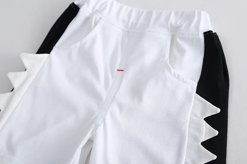 Cute Dino Print Baby Boys Casual Set in White – Ju Ju Jam Clothing Line