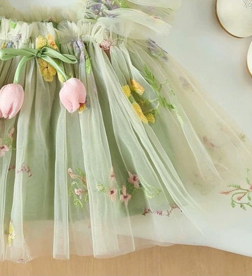 Embroidered Dream Girls Dress Set with Hat