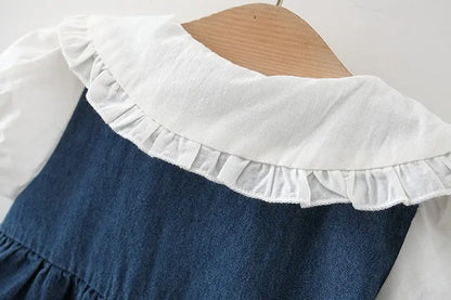 Ju Ju Jam toddler girl denim dress with button details

